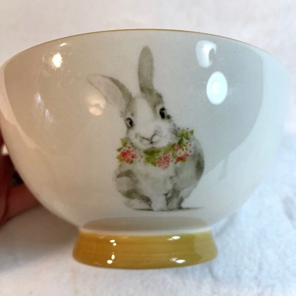 Pier 1 Bunny Rabbit Pals Ceramic Cereal Bowl Yellow Trim 5.75
